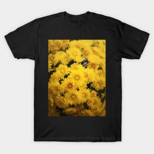 Yellow chrysanthemums texture T-Shirt